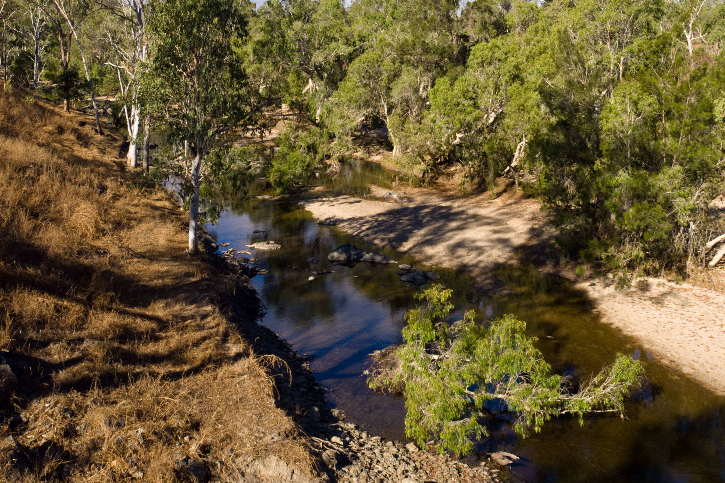 25 cape york.webp